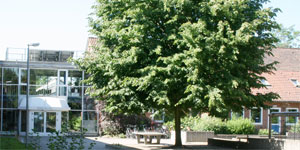 pic1